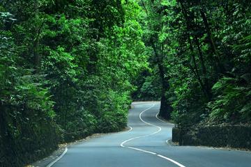 Eco-Tour (Konoko Falls- Fern Gully- Yaaman Adventure Park) from Ocho Rios