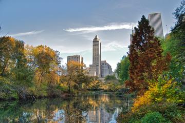 Central Park Private Walking Tour
