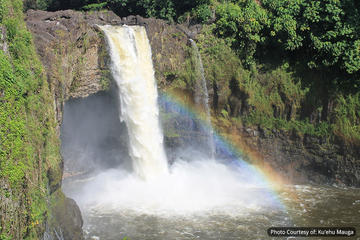 Downtown Hilo and Botanical Garden Tour