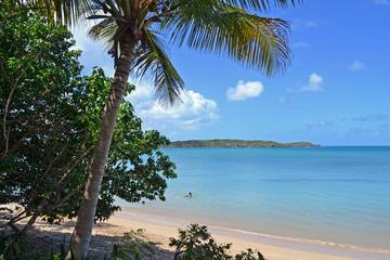 Island Hopping Boat Tour in Puerto Rico