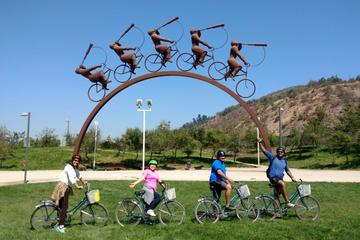Bike Tour: Skyscrapers and Parks