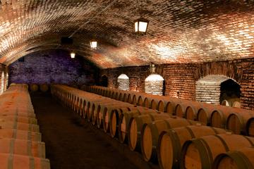 Santa Rita and Concha y Toro Wineries - Private Tour
