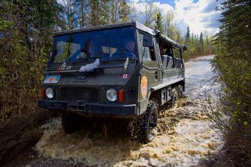 Denali Backcountry Safari