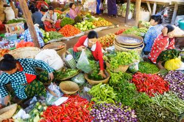 Bagan Community half day Tour