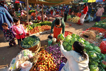 Bagan Local Colour Half Day Tour