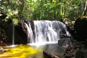 Discover Phu Quoc National Park and Cua Can River full day