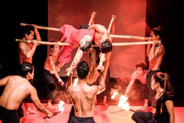Evening Phare Circus included Dinner - Siem Reap