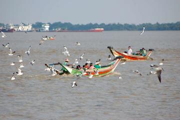 Half-Day Colors of Dhala Tour from Yangon