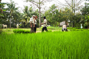 Half Day Local Village Walk and Talk - Siem Reap