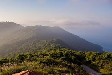 Spotting wildlife on monkey mountain by Jeep