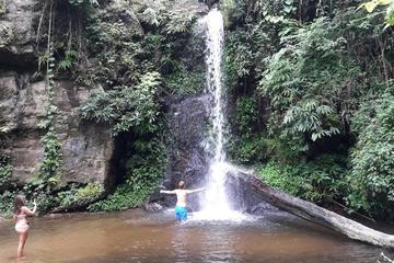 Full-Day Trek to Doi Suthep from Chiang Mai Including Lunch