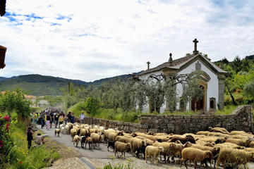 Full-day Private Tour to Beira Baixa Villages with Lunch