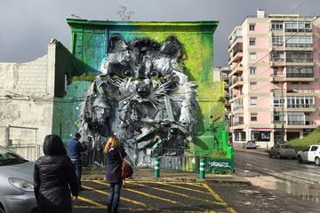 Private Street Art Tour of Lisbon