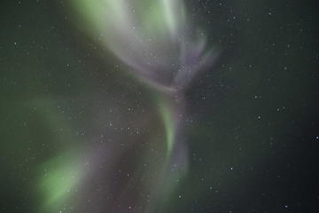 Northern Lights Hunt