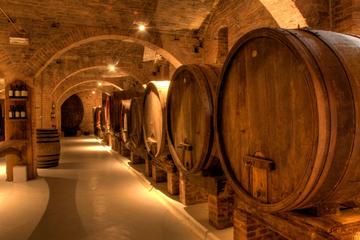 Primitivo and Negramaro Wine Tour Departing from Lecce