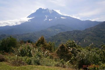 Kinabalu Park and Bamboo Spring Tour