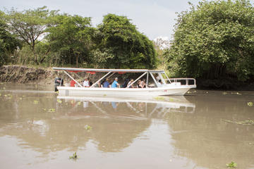 Boat Tour and Lunch