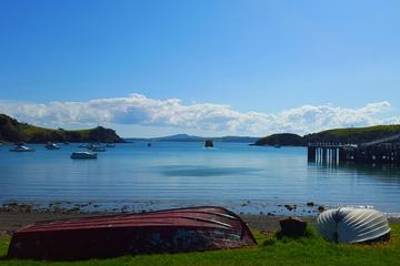 Half-Day Double Headland Coastal Walk on Waiheke Island