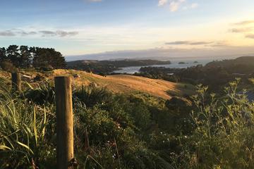 Waiheke Island Te Ara Hura 5-Day Walking Package