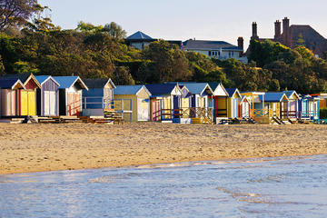 1 Day Mornington Peninsula Wine and Food Tour