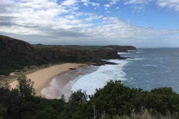 1 Day Phillip Island Bass Coast Walk Sightseeing and Penguins Tour
