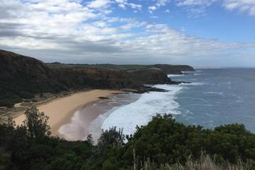 3 Day Phillip Island and Bass Coast Walking Holiday