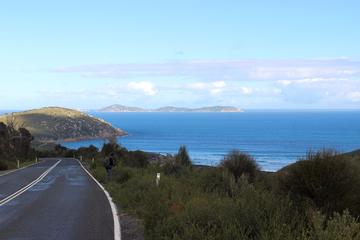 4 Day Wilsons Promontory Walking Holiday