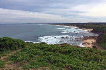 Half Day Phillip Island Woolamai Trail Walking Tour