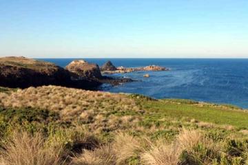 Phillip Island Tour Including Cape Woolamai Walking Trail