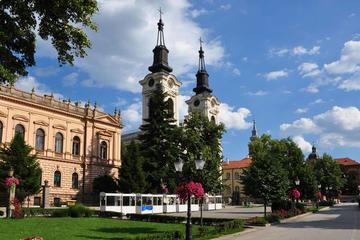 Northern Serbia, Sremski Karlovci, and Novi Sad Full-Day Tour from Belgrade