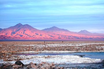 Piedras Rojas Altiplanic Lagoons and the Atacama Salt Flats
