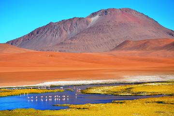 Salar de Tara