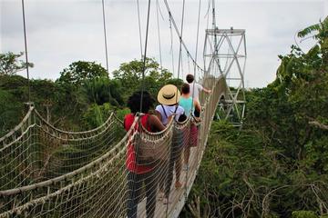 Lekki Combination Tour - Nike Art Gallery Awolowo Museum and Lekki Conservation