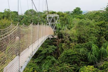 Lekki Conservation Centre Private Tour from Lagos
