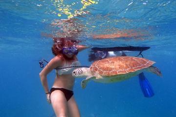 Florida Keys Eco, Paddle, and Snorkel Tour
