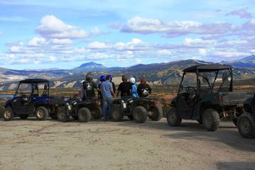 2.5-Hour Denali Wilderness ATV Adventure Tour