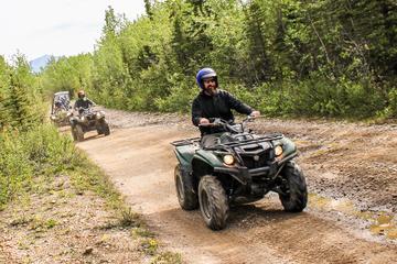 3.5-Hour Denali ATV Trailblazer Tour