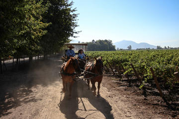 Colchagua Lovers