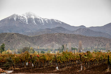 Laguna Del Inca with In Situ Winery