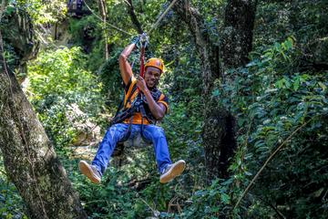Aerial Cable Trail in Hazyview