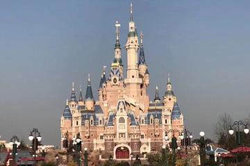 Private Transfer City Center - Shanghai Disneyland, PVG Option