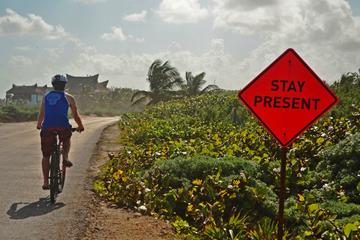 Tulum Insider's Bike Tour: Mayan Ruins, Caribbean Beach, Art and Food