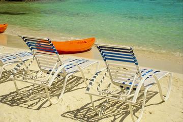 Paradise Island Day Tour