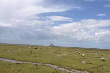Shuttle service to Mont Saint-Michel from Rennes