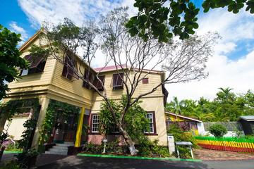 Bob Marley Museum Entry Ticket