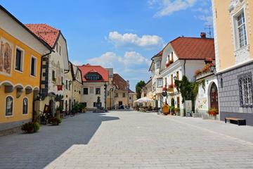 Radovljica Half Day Trip from Bled