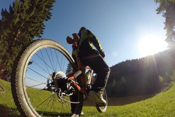 Vintgar Gorge Half Day Mountain Bike Self-Guided Tour from Bled