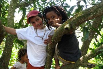 MoBay Highlight and Rastafarian indigenous Village Tour