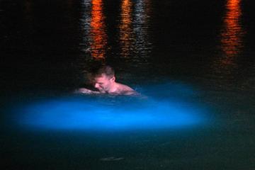 Mystic Luminous Lagoon and Limbo Party