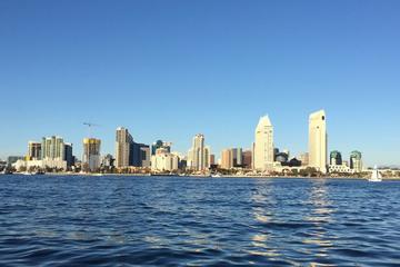 Private 90-Minute Harbor Tour